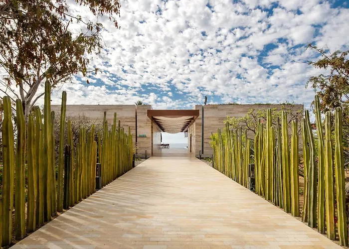 The Club At Solaz Luxury Resort San José del Cabo